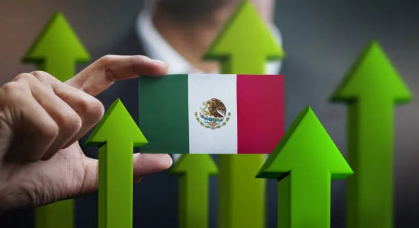 tipos de licitaciones en M&eacute;xico mediante licitaci&oacute;n p&uacute;blica