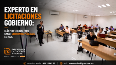 Experto en licitaciones gobierno: Guía profesional para ganar contratos públicos en 2026